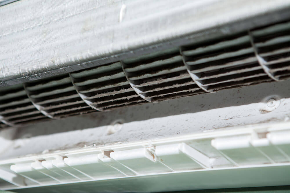 Mould contamination buildup inside air conditioner unit handler