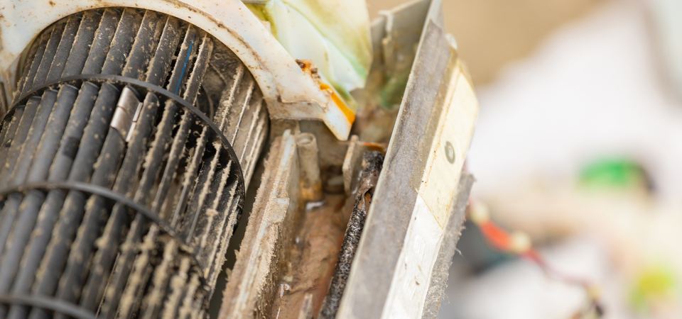 Dangers of Air Con Mould