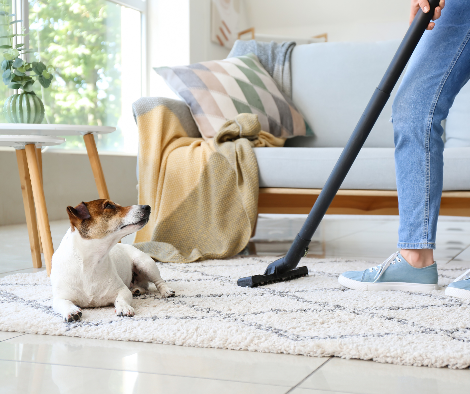 Aircon Cleaning Tips for Families with Children or Pets